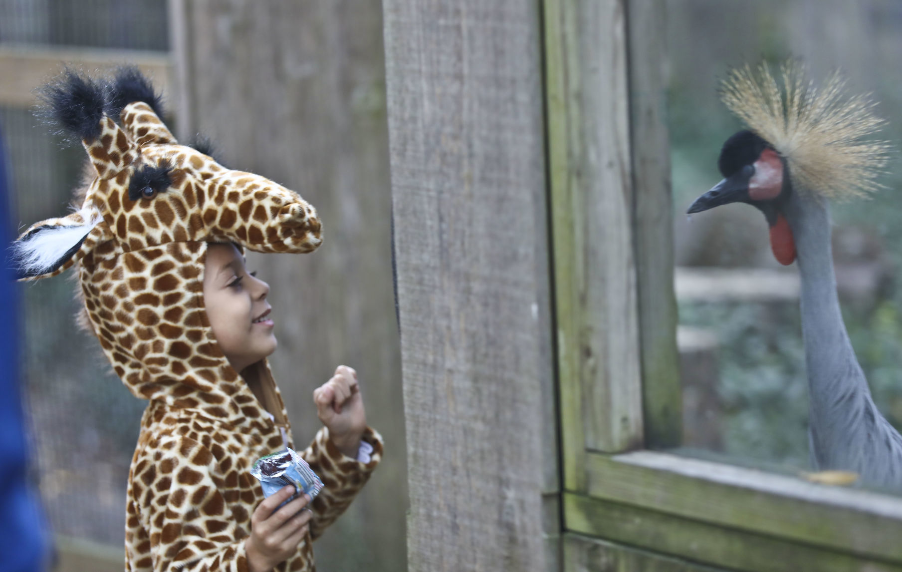 Boo at Zoo 4 10.19.19.JPG